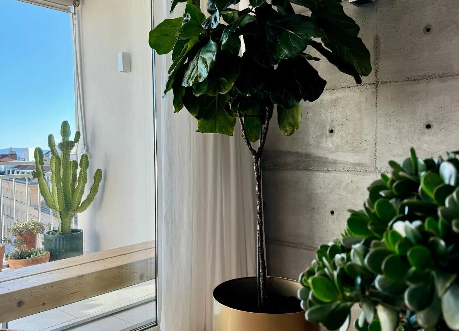 D'Art Penthouse Apartman